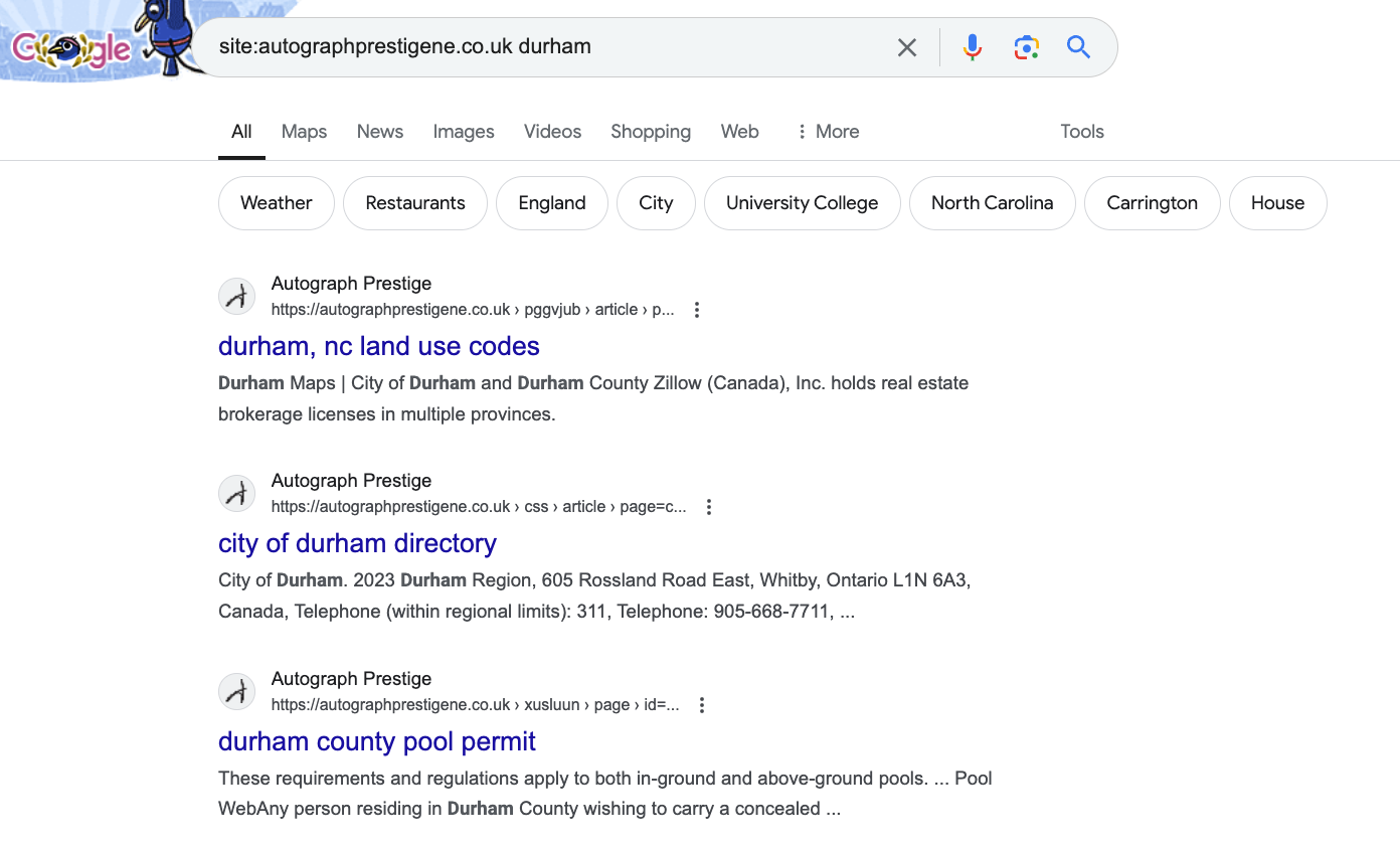 Google SERP Durham Car Leasing